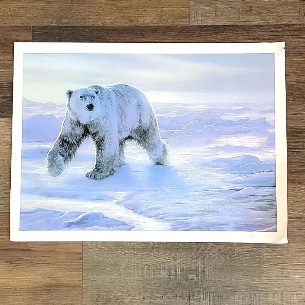 Pat Mcmanus polar bear giclee on canvas print 164/750